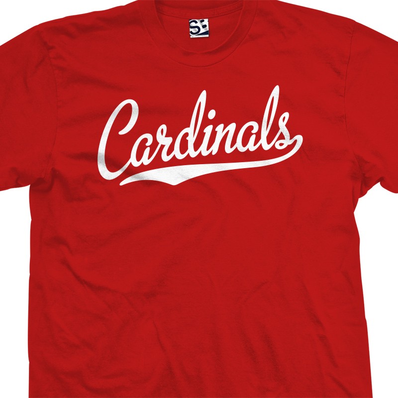 Youth Stitches Red/White St. Louis Cardinals Combo T-Shirt Set